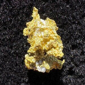 California Native Gold Crystal - 0.64 grams